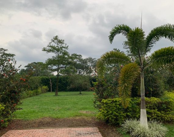 Lote en El Cairo – Villavicencio Meta